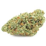 Шишки OG Kush  (Гидропоника, бошки) VHQ в Барыше 